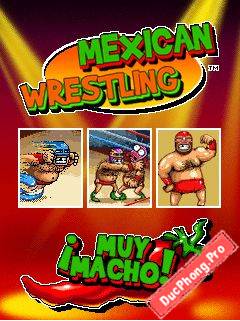 Mexican-Wrestling-2