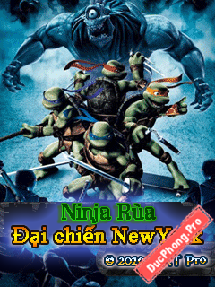 Ninja-Rua-NewYork-1