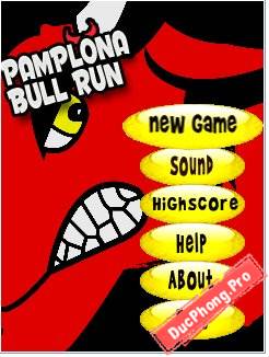 Pamplona-Bull-Run-2