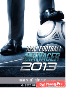 Real-Football-Manager-2013-1