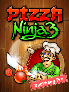 Pizza-ninja-3-1