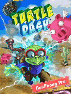 Turtle-dash-1
